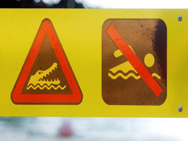 Reported crocodile sighting near Brisbane