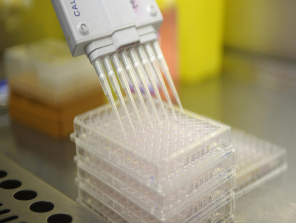 Aussie scientists map deadly cancer genes