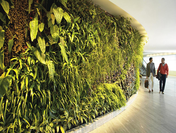 Living walls the next way to stay cool