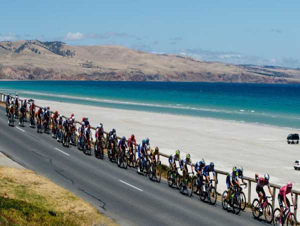  Cyclists cop most fines in safety campaign 