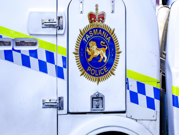 Serious injuries, horses dead in Tas crash