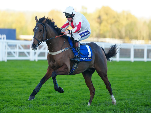  Goshen back for second try over the larger obstacles at Lingfield 