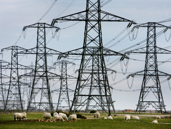  Businesses locked into costly years-long energy contracts left without much help, MPs told 