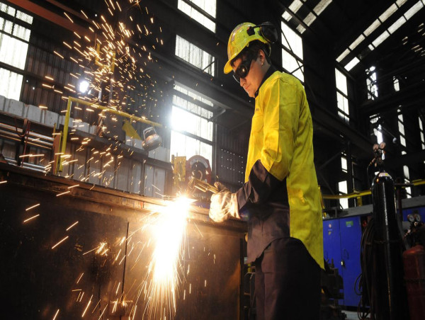 Government needs Senate support for manufacturing fund