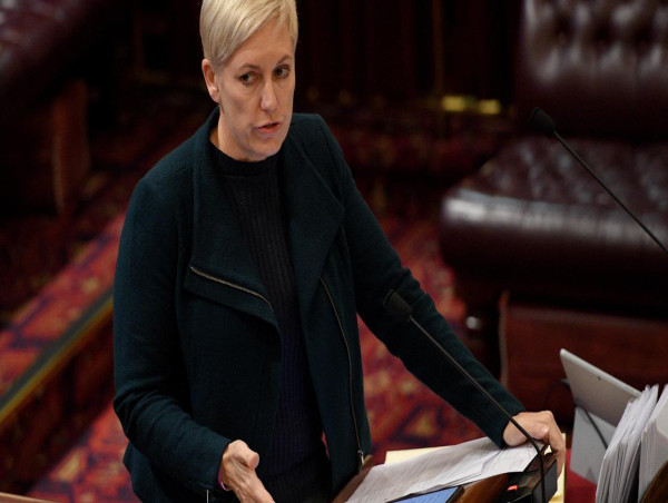 Regional people's healthcare woes ignored: Greens