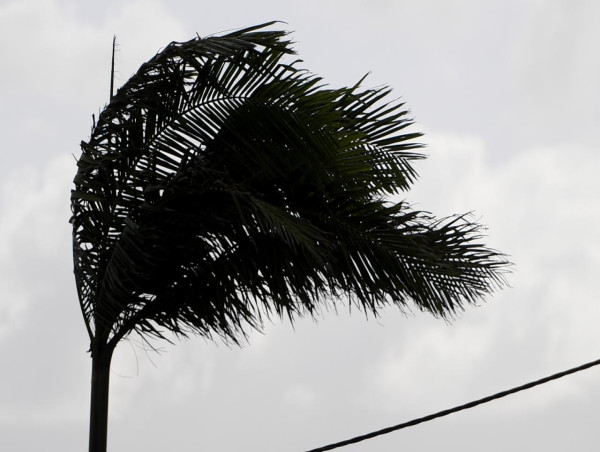 Cyclone Gabrielle tracks off Queensland coast