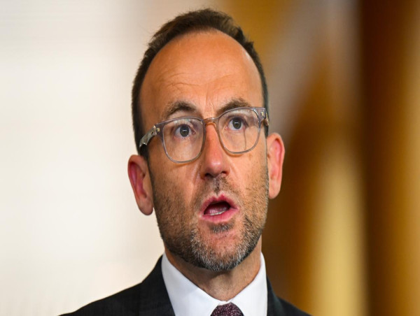  Greens to support climate mechanism, with one condition 
