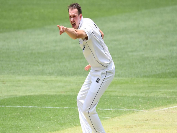 Hosts Tigers on the back foot as WA strike in Shield