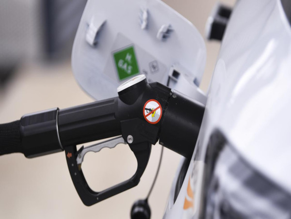  Net-zero fail without green hydrogen tax breaks: report 