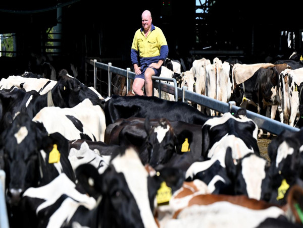 Lismore farmer reflects on 'one of the toughest years'