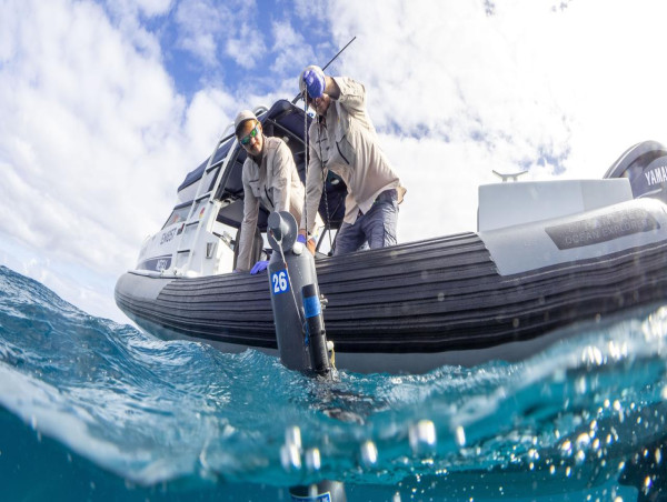 Pledge for national plan to splash out on ocean health