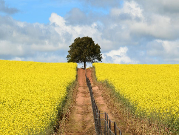 Super changes could hurt agriculture: farm lobby