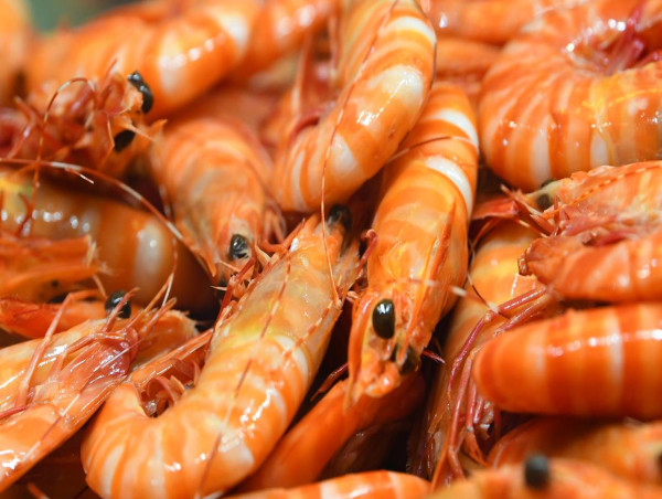  White spot outbreak forces partial prawn lockdown 