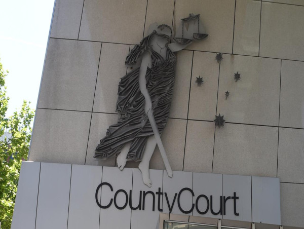 Mother spared jail after flinging boyfriend off car