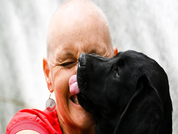 Tongues wag as pollie puppy love sealed with a kiss