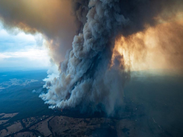 Black Summer fires sound alarm on ozone layer depletion