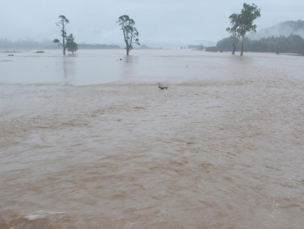  Evacuation advice 'ignored' in deadly Tasmanian floods 