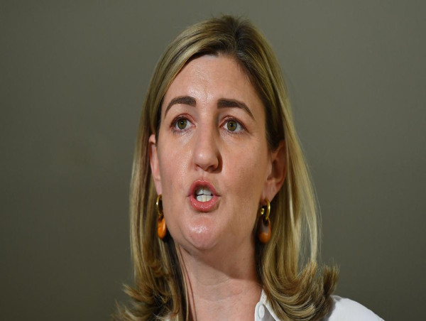 Qld opposition: domestic violence rates still too high