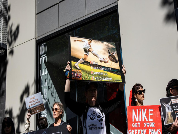  Sporting giant Nike to step away from kangaroo leather 
