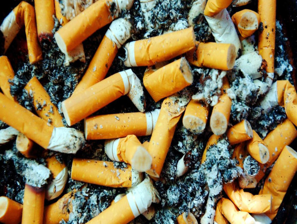  Hold on to your butts, fungi filter out ciggie litter 