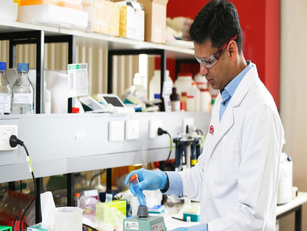  Link found between high cholesterol and dementia risks 