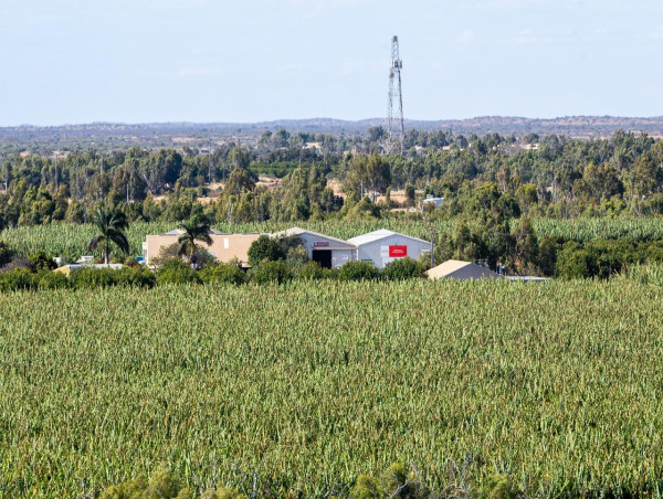 Rural residents to benefit least from planned tax cuts