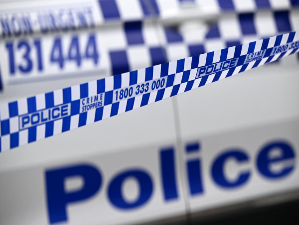  Cops probe foul play as missing man's dogs found 