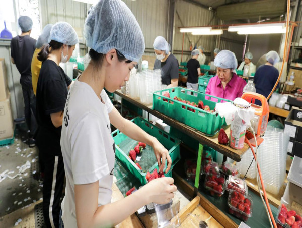 Temporary migrants to be granted more workplace rights