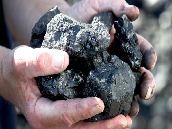  Proposed coal mines a climate disaster, experts warn 