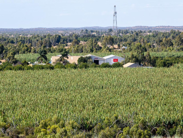 Farmers turning up the dial on connectivity