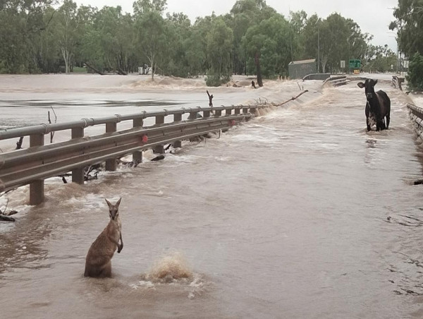 Flood-ruined WA bridge to be rebuilt six times stronger