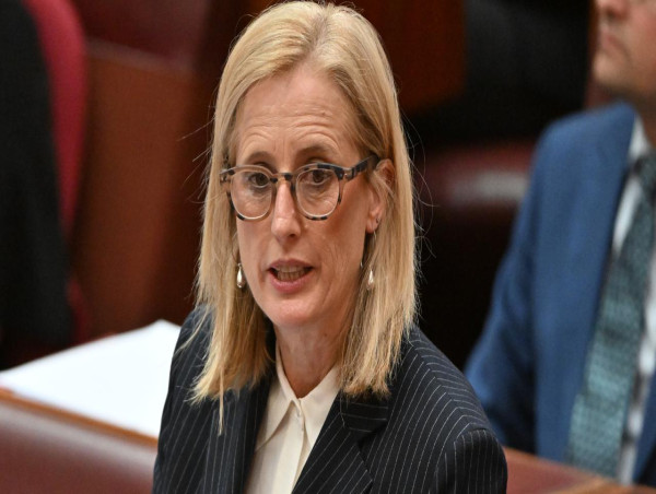  Probe seeks to lift government work for small business 
