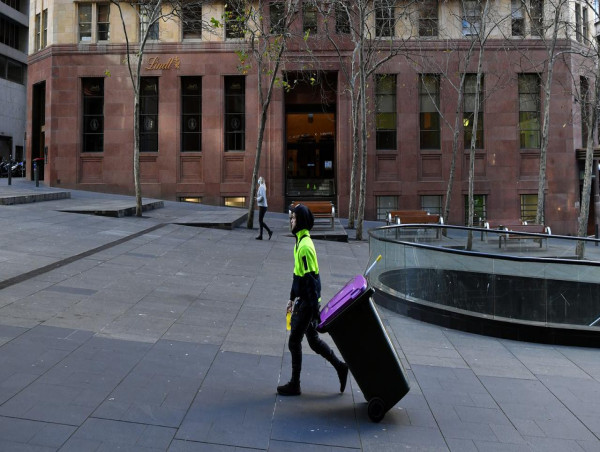 Labor tells umpire to get low-paid 'back on the bus'