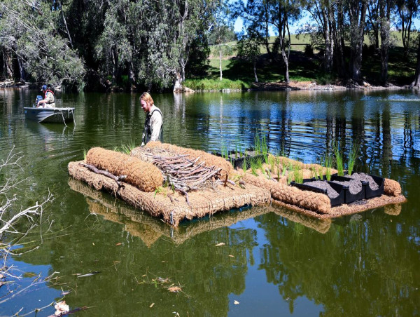 Floating pond homes help keep turtles and swans afloat