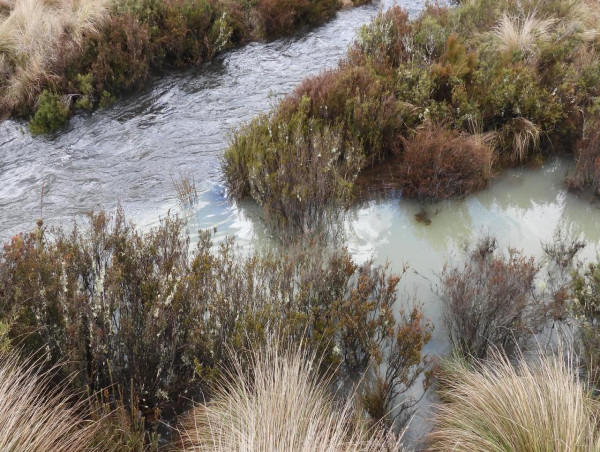 Snowy Hydro fined over river pollution in Kosciuszko NP