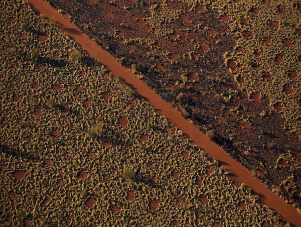  Australia's desert fairy circle mystery solved 