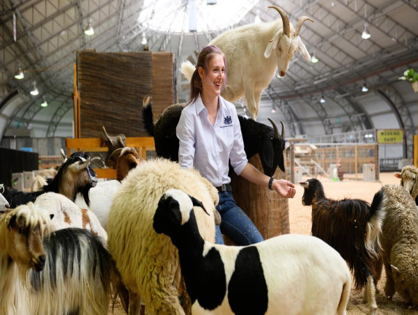  Baby animals and bison bull debut at Royal Easter Show 