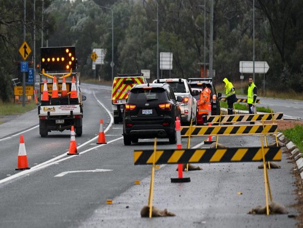 Four dead, one critical after utes crash head on 