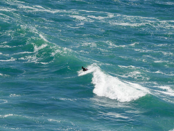  Surfboarder rescues swimmer from drowning in rip 