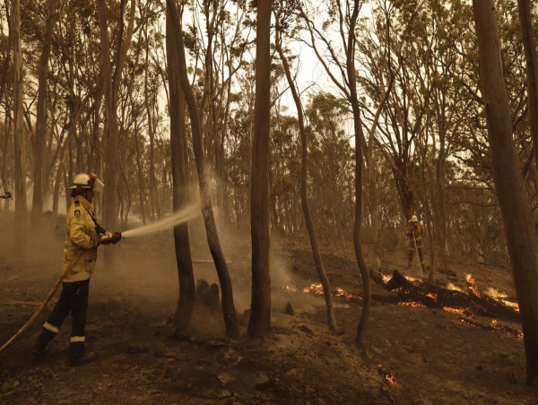  Further delays to Black Summer bushfire inquiry 
