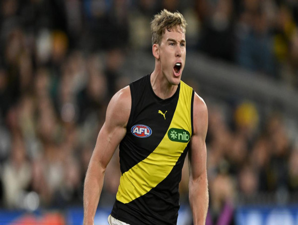  AFL not shaken by tribunal challenges: footy boss 