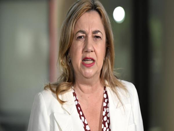 Qld premier considers penalty review after dog attacks