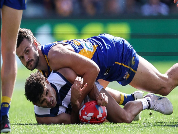 Goalsneak Stengle hurt as Geelong crush West Coast