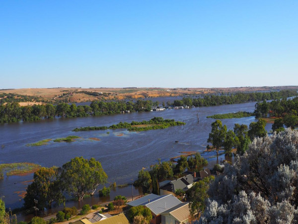 Full water for SA Murray irrigators after summer flood