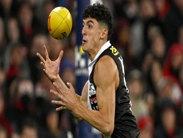  Caminiti, Merrett and Adams set for AFL Tribunal 