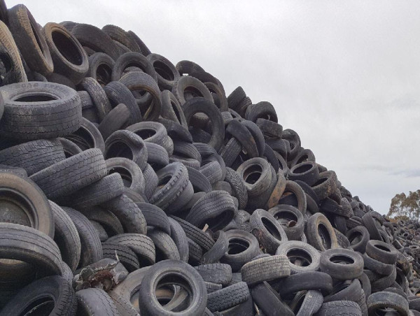  Environment watchdog lays charges over tyre stockpile 