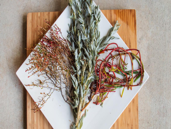 Push for First Nations growers amid bush food demand
