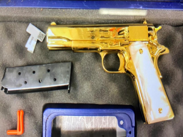  US woman charged over alleged 'gold-plated' gun import 