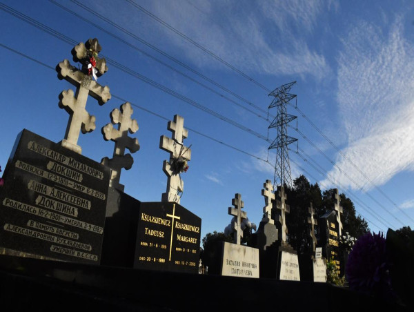 'Urgent action' needed to overhaul Sydney's cemeteries