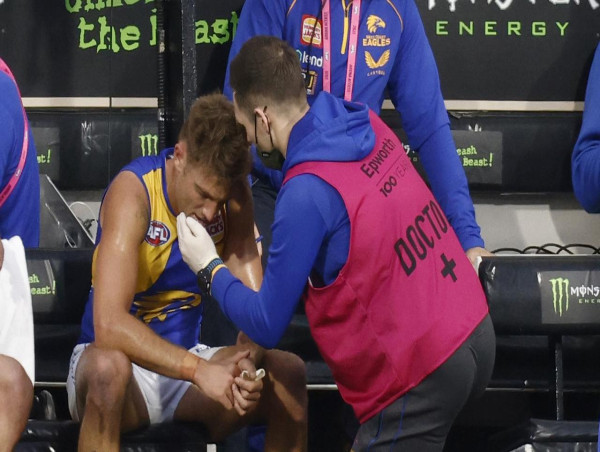  AFL culture around concussion must change, inquiry told 